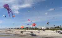 Kites in Semaphore